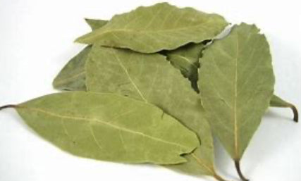 Bay Leaves